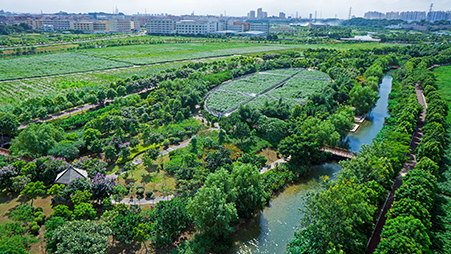 城市濕地公園